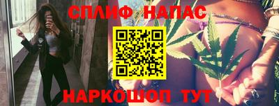 крисы Гатчина