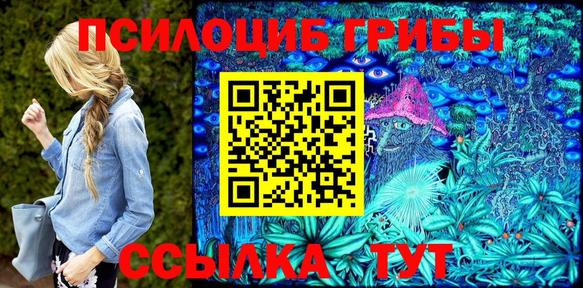 Нижнекамск  Псилоцибиновые грибы Psilocybe  Вход с VPN 