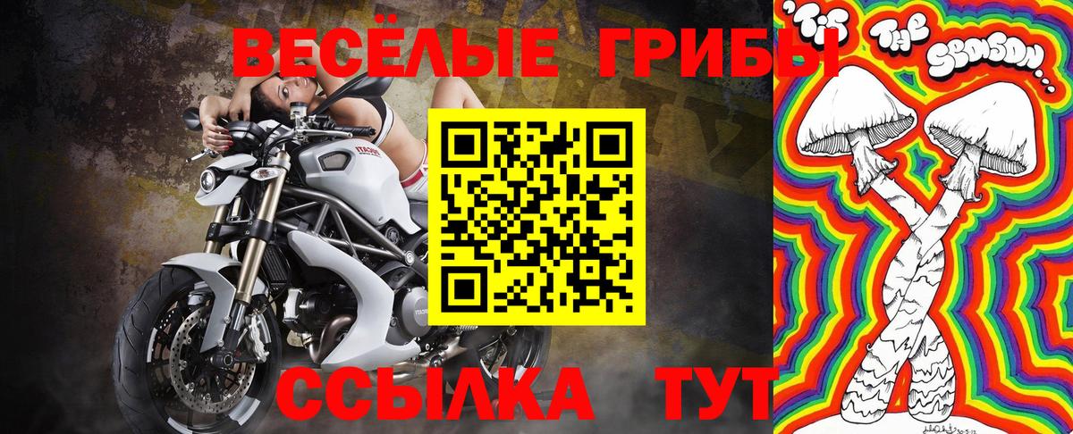 Галлюциногенные грибы мухоморы Нижнекамск
